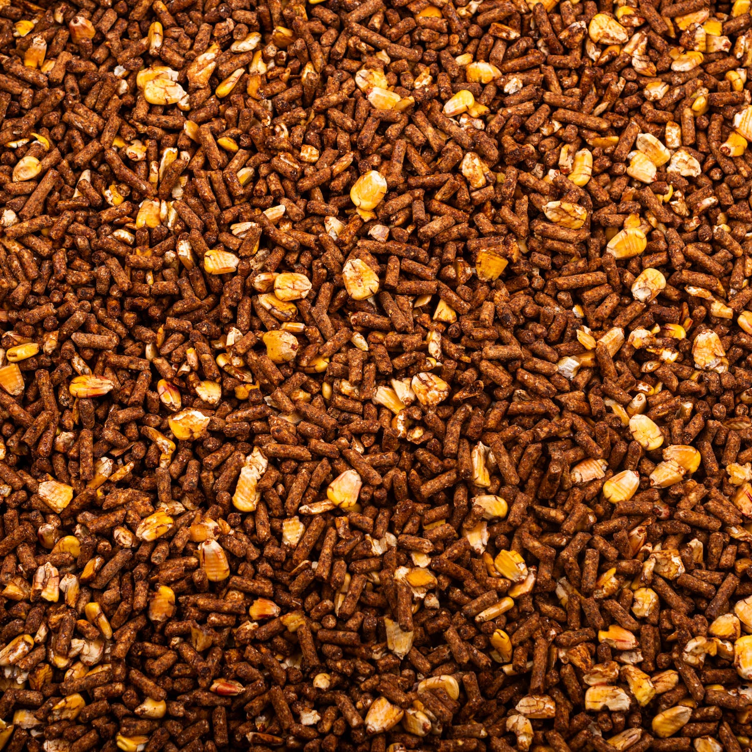 F.G. Edwards - 16% Dairy Ration