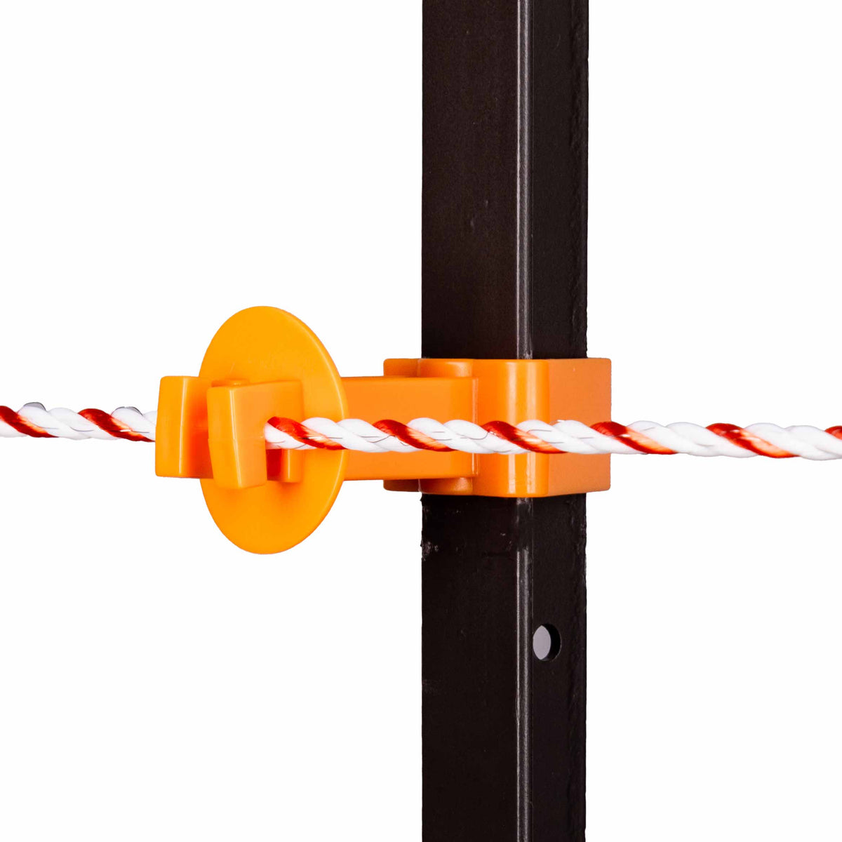 Isolateur Snug pour piquet en T, paq. de 25