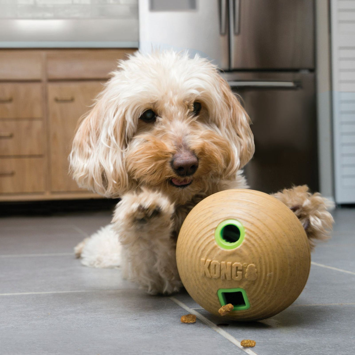 KONG - Bamboo Feeding Ball