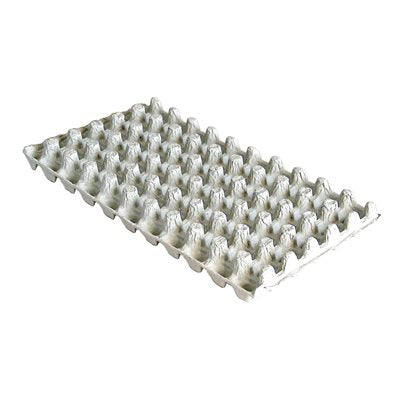 Cartons à œufs (Caille), 50 oeufs - Little Giant