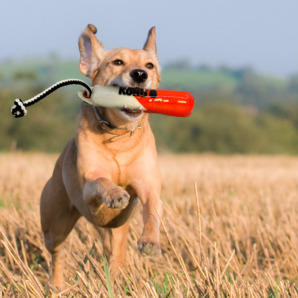 KONG Wild Shieldz Training Dummy - KONG