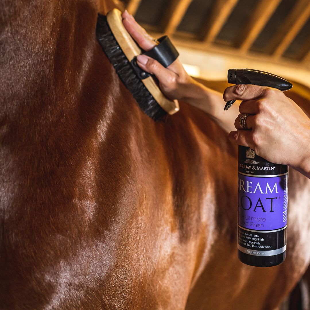 Carr & Day & Martin - Dream Coat® Ultimate Coat Finish, 500 ml