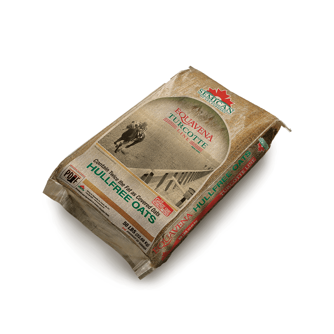 Avoine nue Turcotte 22.68Kg - Semican