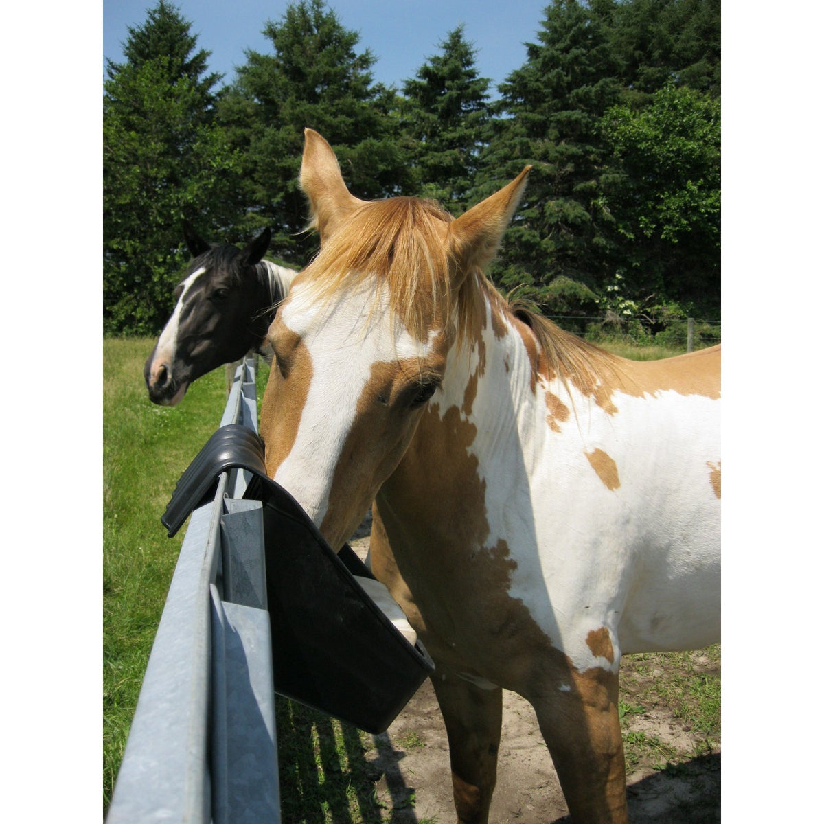 Little Giant - Universal Block Holder and Feeder