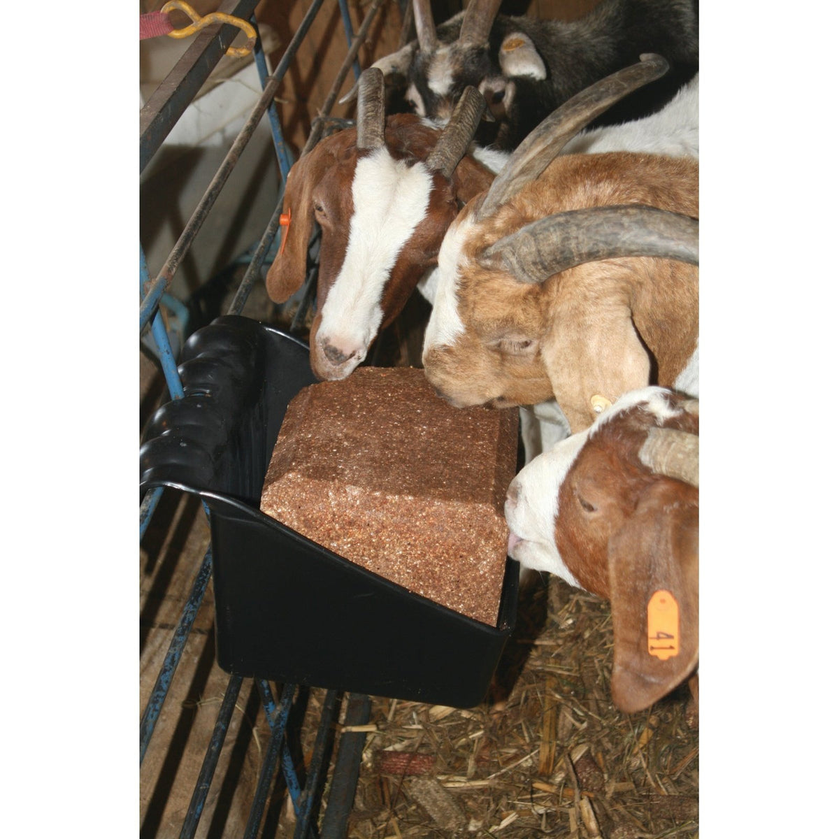 Little Giant - Universal Block Holder and Feeder