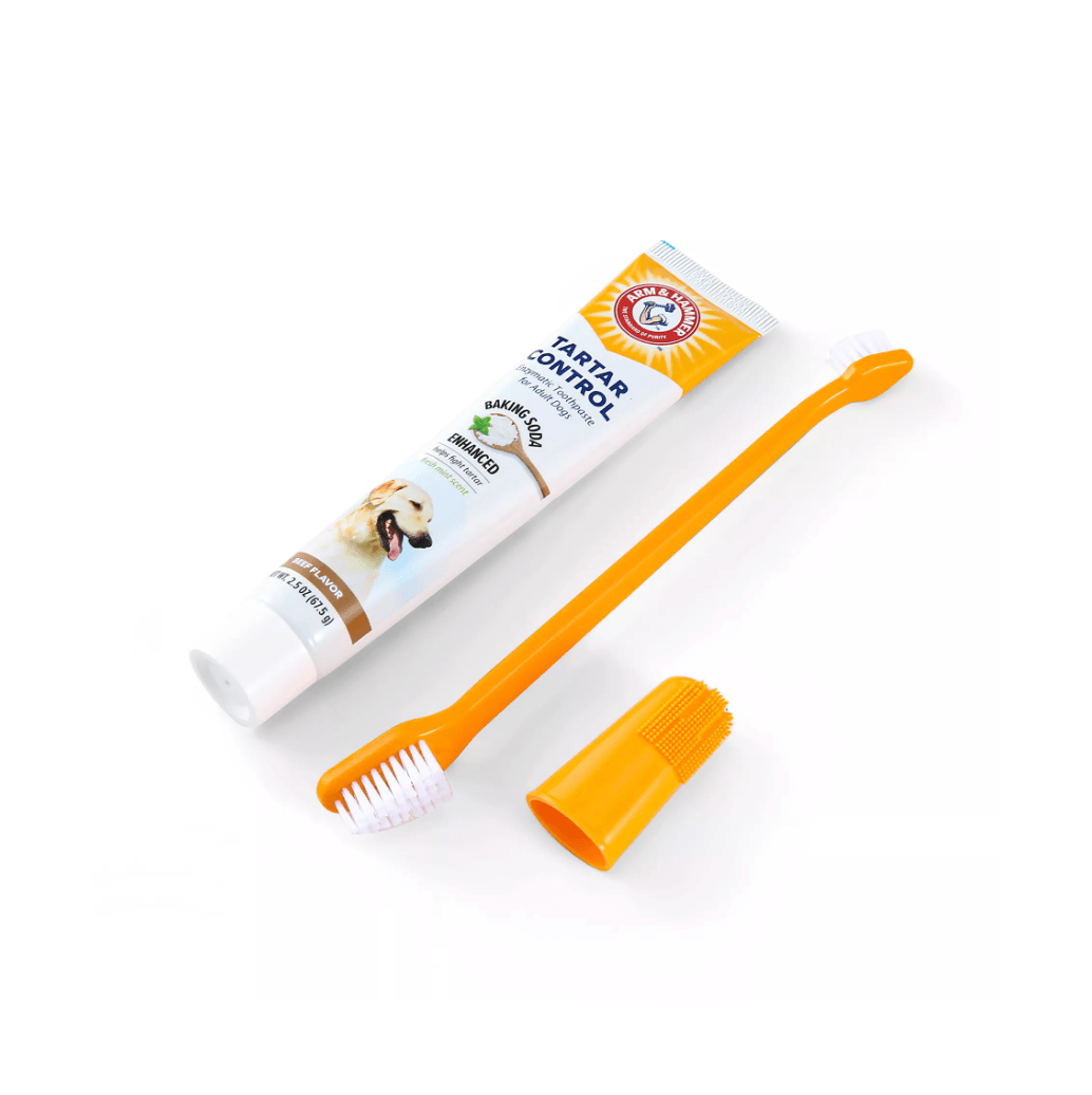 Trousse dentaire anti-tartre enzymatique - Arm & Hammer