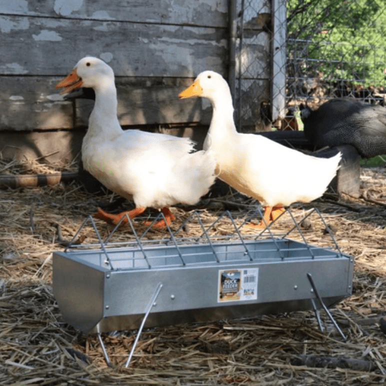 Mangeoires pour canards en acier galvanisé - Little-Giant