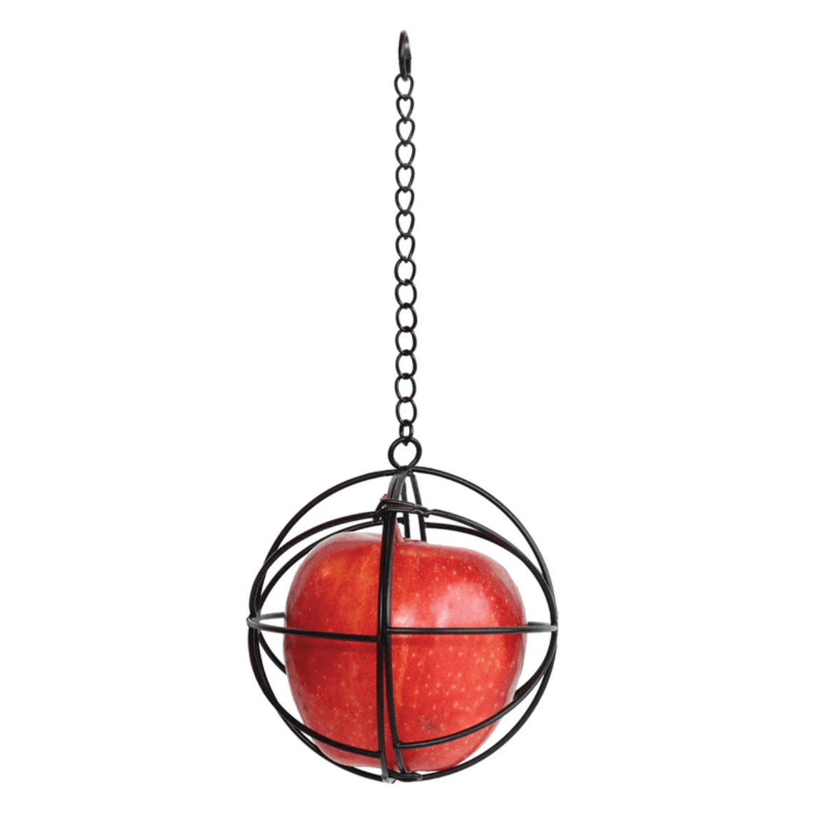 Cage suspendue à friandises pour poules - Little-Giant