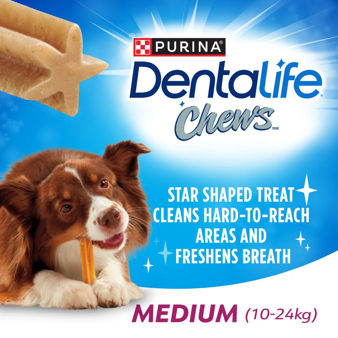 Dentalife Dental Chews for Medium Dogs 595g