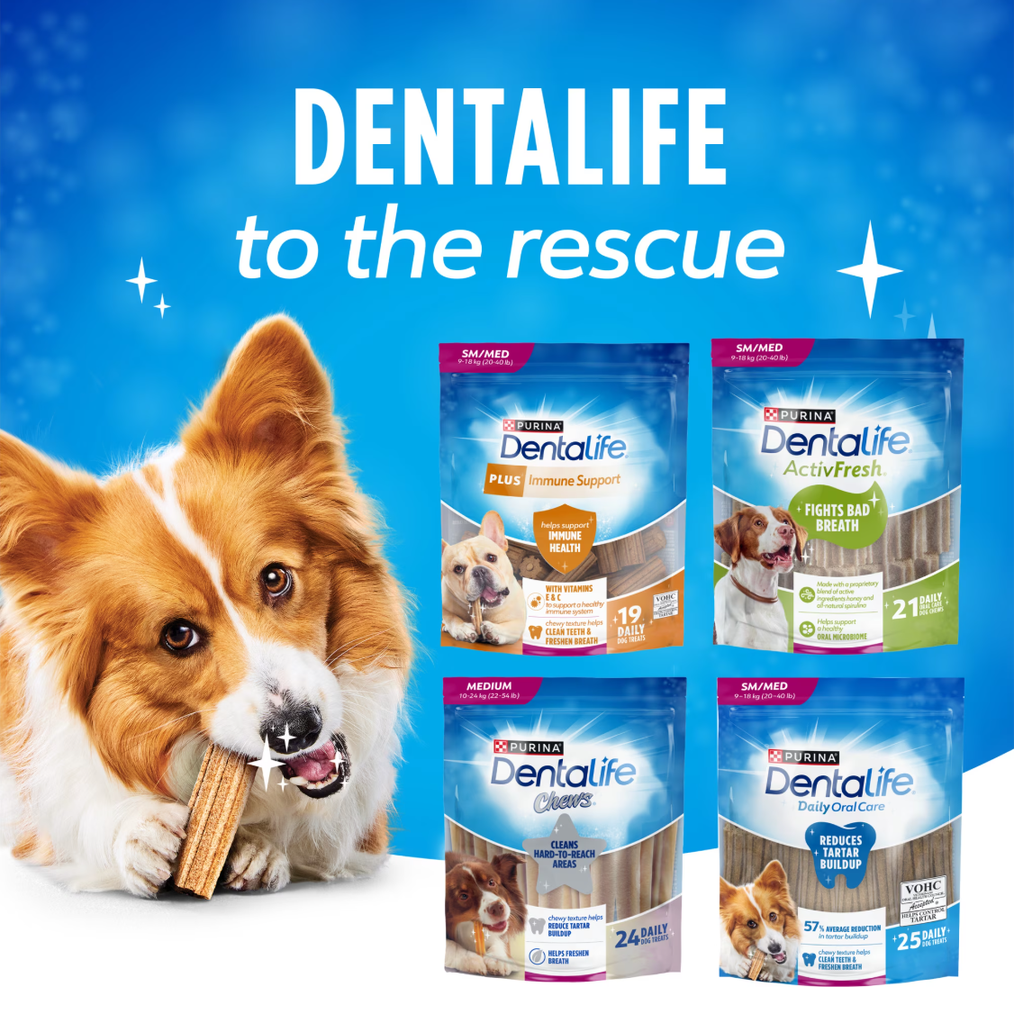 Dog dental treats small medium breeds 808 g - Dentalife