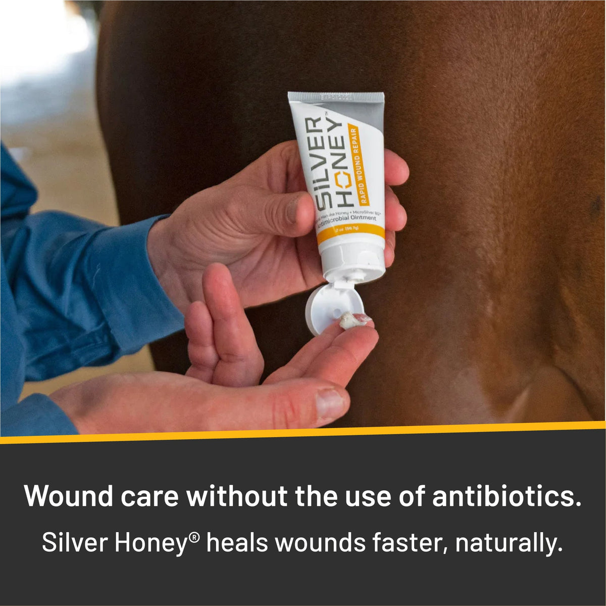 Absorbine® - Silver Honey®, Antimicrobial Ointment 