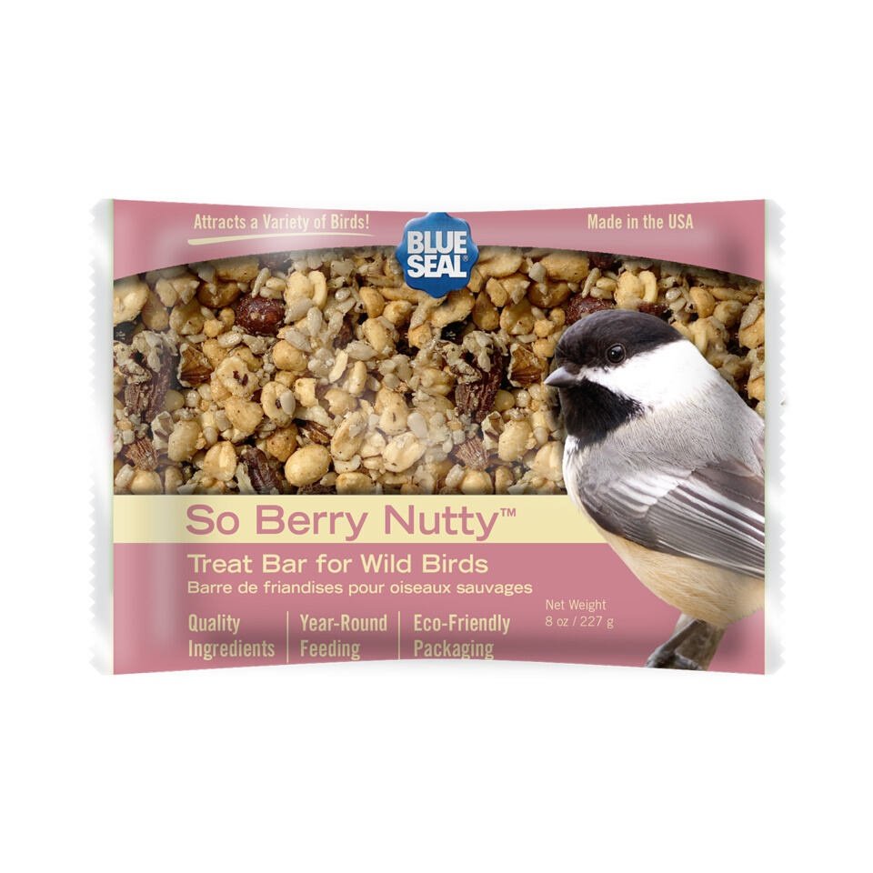Blue Seal - Wild Bird Treat Bar, So Berry Nutty 