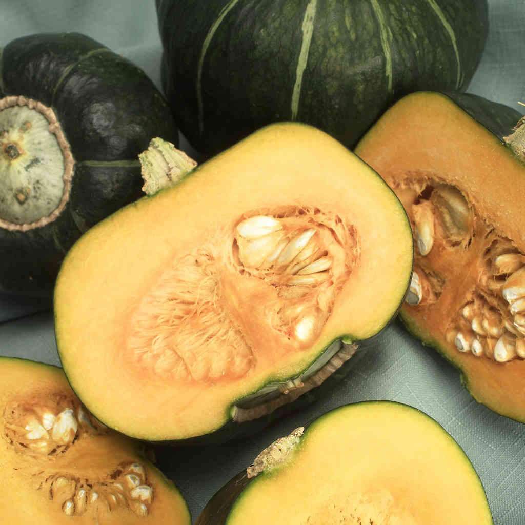 Buttercup Squash - Organic