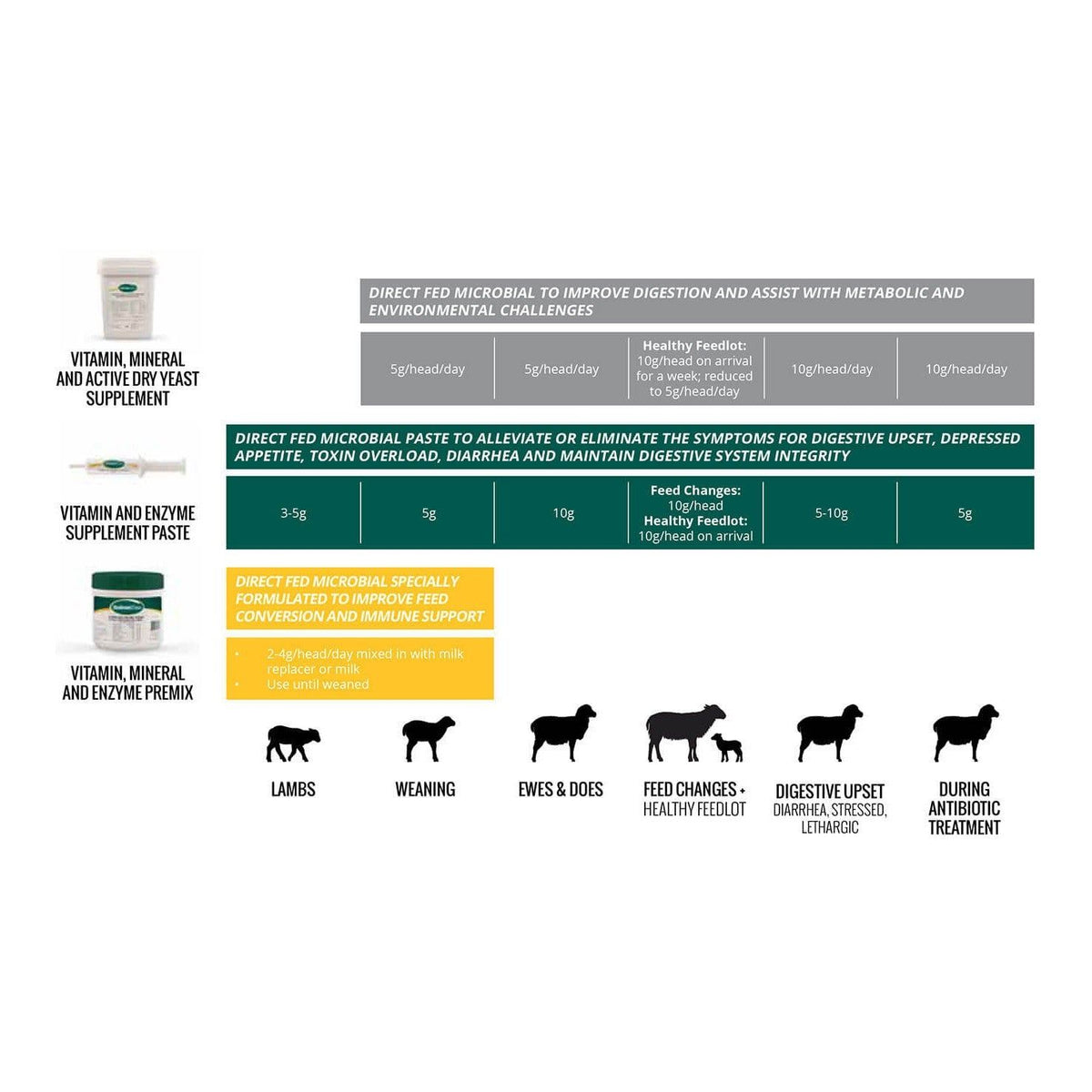 Stockmans Choice - Vitamin and Enzyme Supplement Paste