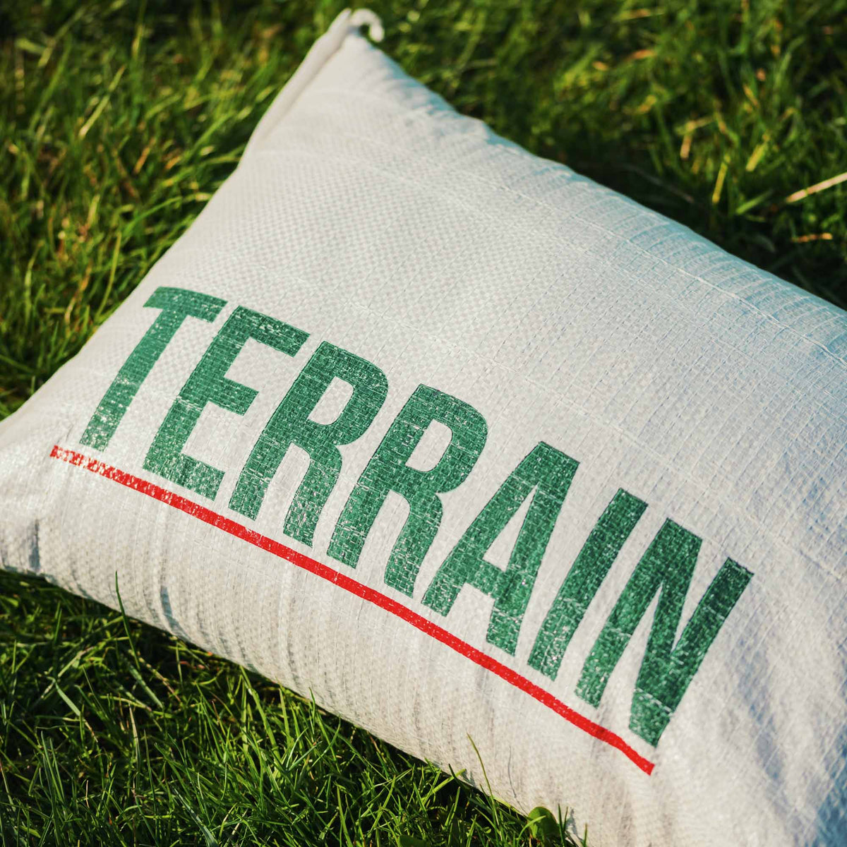 TERRAIN SOLEIL — Semence à gazon ensoleillement