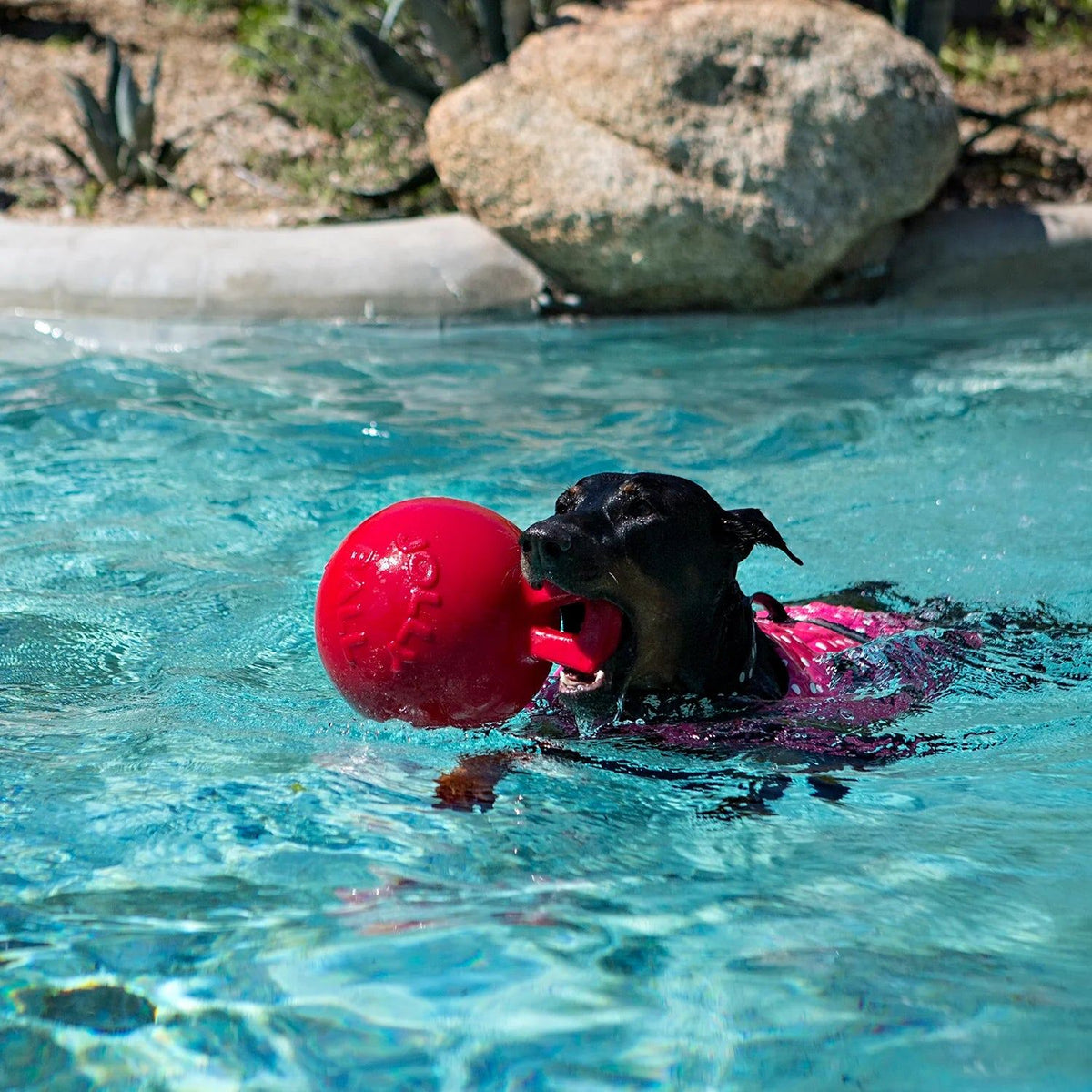 Ballon Tug-n-Toss - Jolly Ball