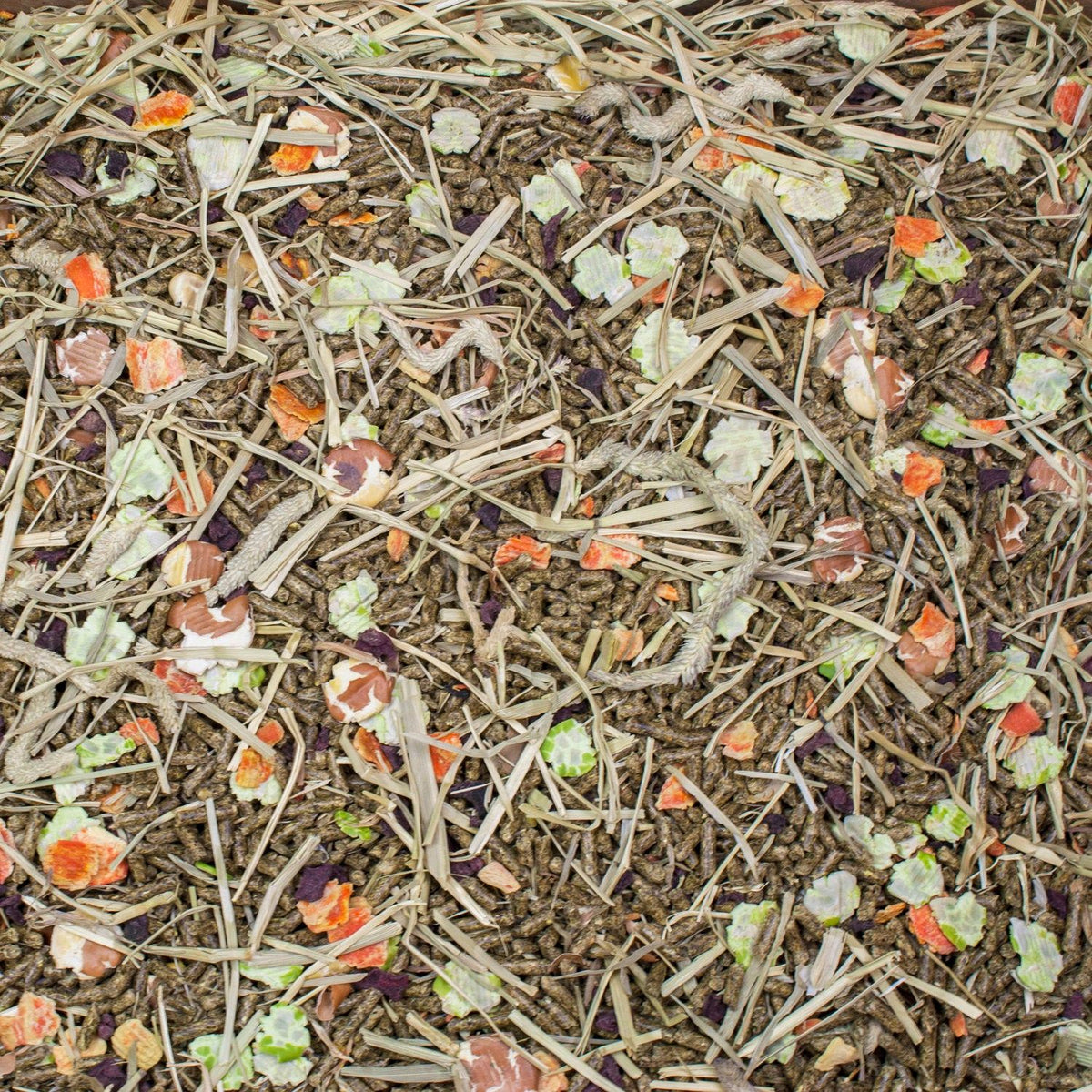 Mélange pour cochons d'Inde - Vita Garden - Higgins