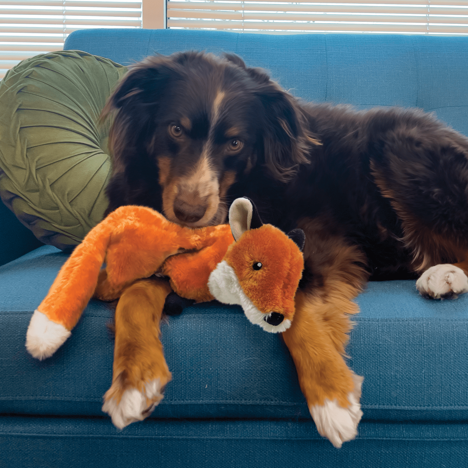 KONG Wild Low Stuff, Plush Fox Toy for Dogs - KONG