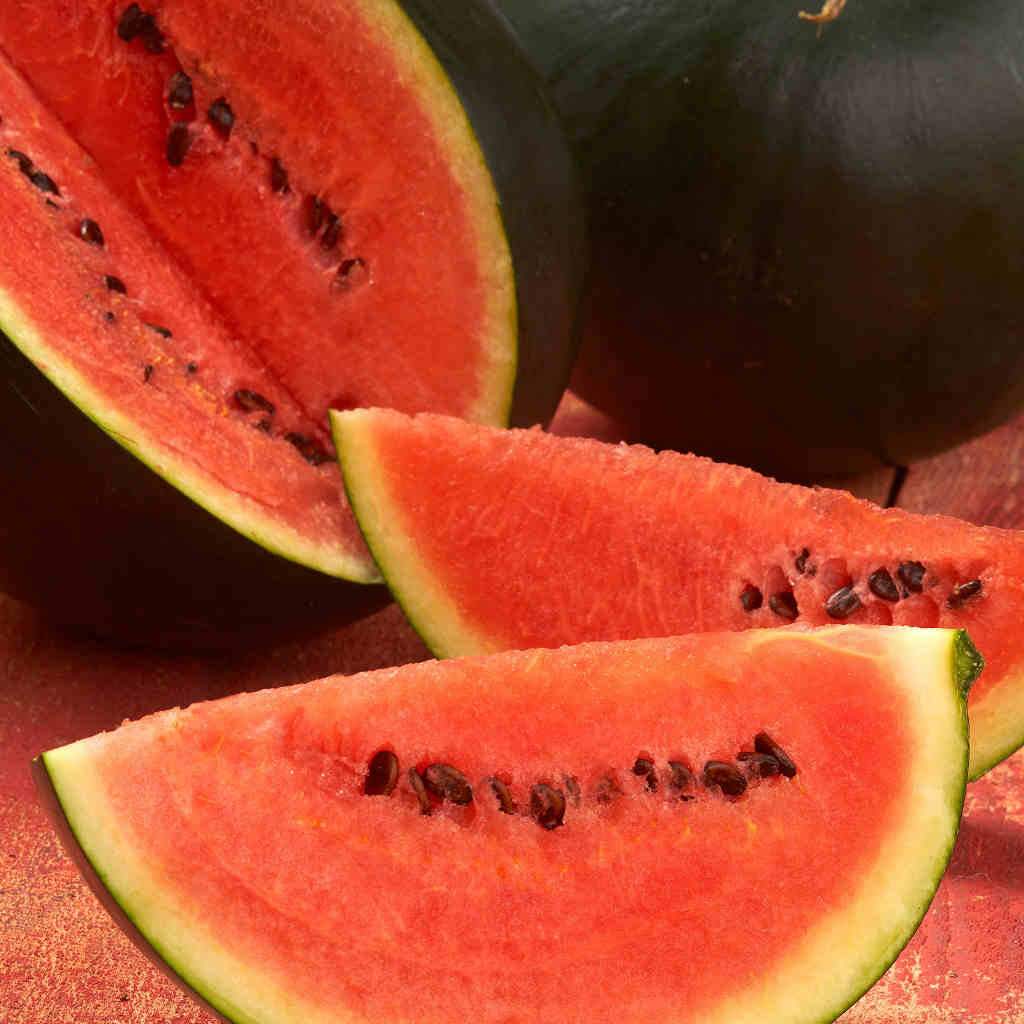 Sugar Baby Watermelon - Organic