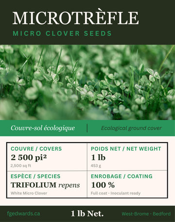 Microtrèfle, Micro Pipolina (1 lb) - F.G. Edwards