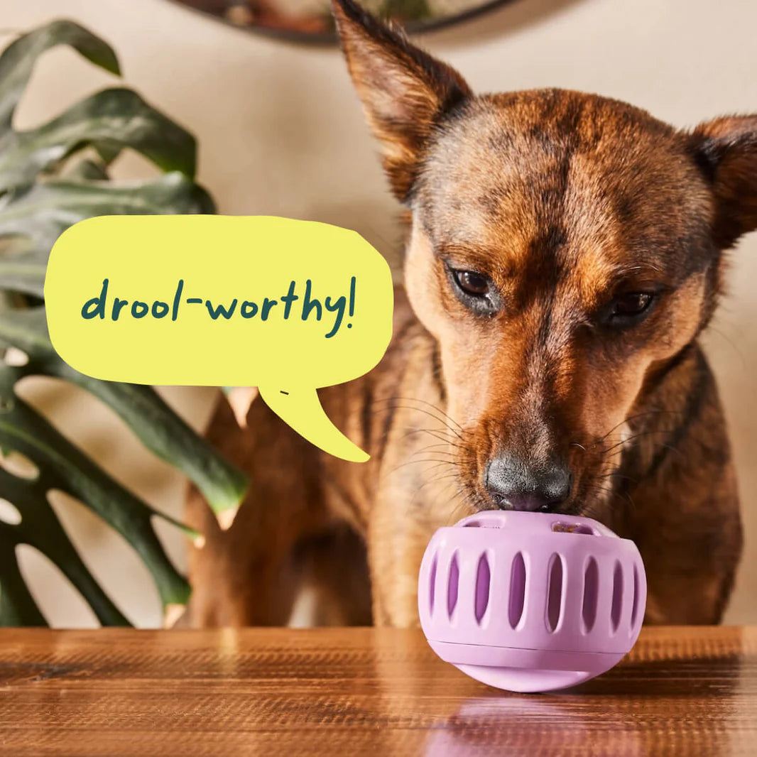 Woof Pupsicle, jouet pour chiens - Woof