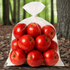 a tied plastic bag of red apples