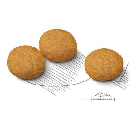 Croquettes race moyenne soin peau sensible - Royal Canin