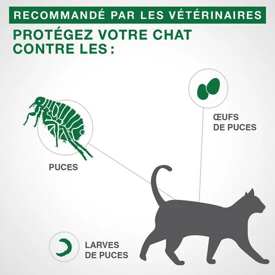Advantage II Protection antipuces pour chats - Elanco