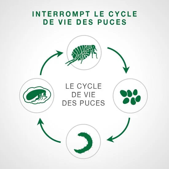 Advantage II Protection antipuces pour chats - Elanco