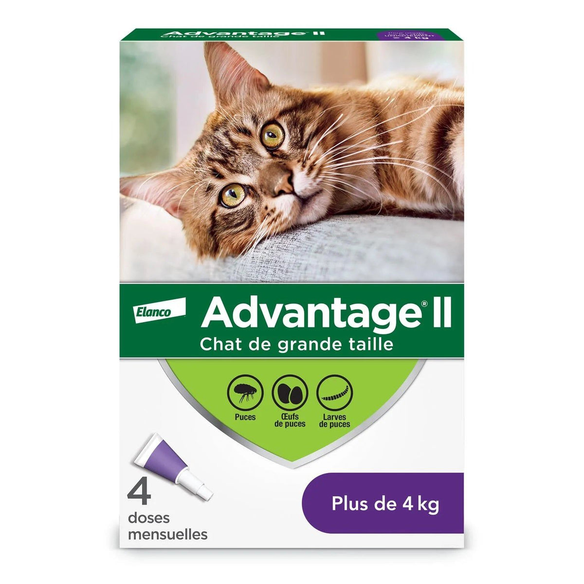Advantage II Protection antipuces pour chats - Elanco