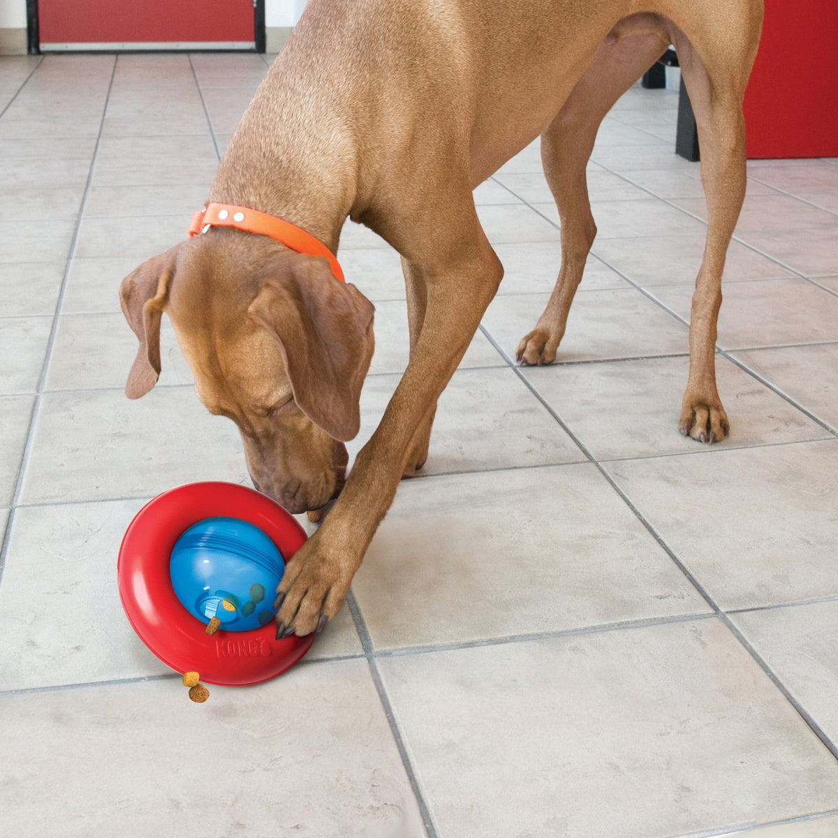 KONG - Jouet distributeur de nourriture pour chien Gyro