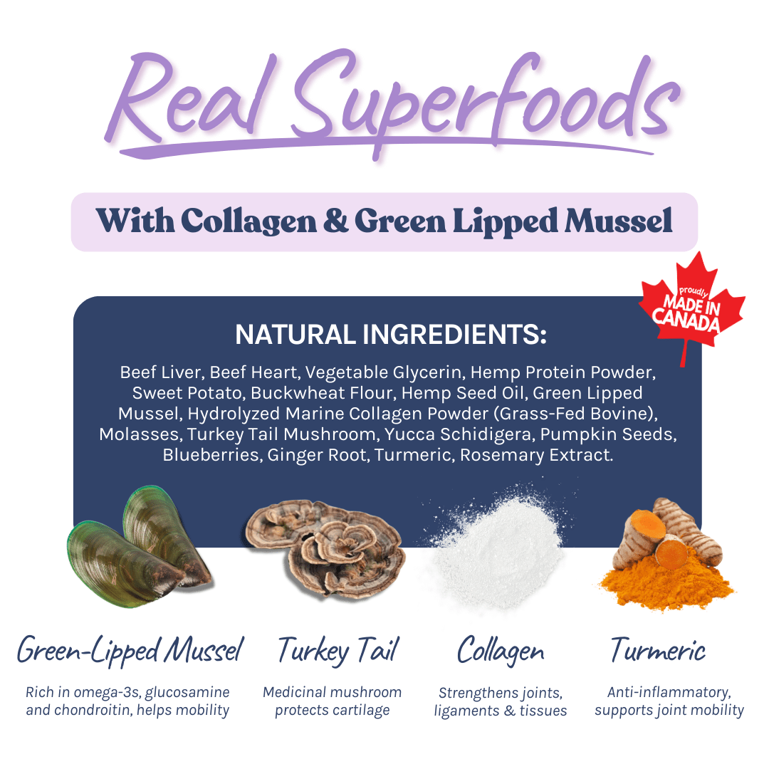 Le «Joint Booster» (Bœuf) - Healthybud