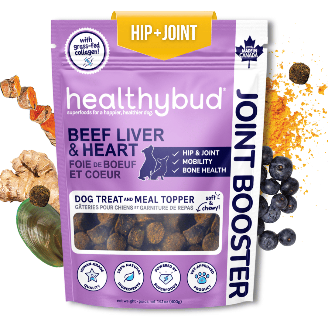 Le «Joint Booster» (Bœuf) - Healthybud