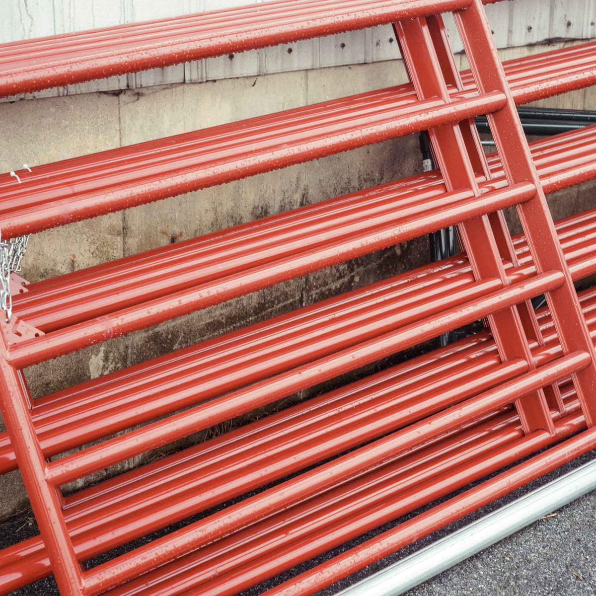 Behlen Country - High Resistance Tubular "Bull" Farm Gate in Painted Steel 