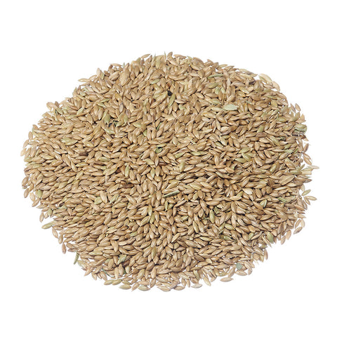 Graines d'alpiste pour oiseaux sauvages - 22.68 kg