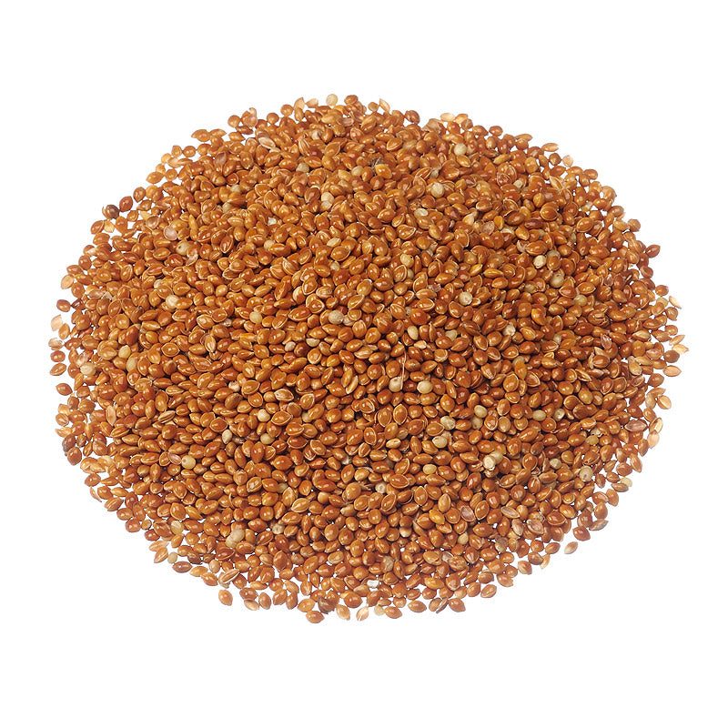 Red Millet Seeds For Wild Birds - 22.68 kg