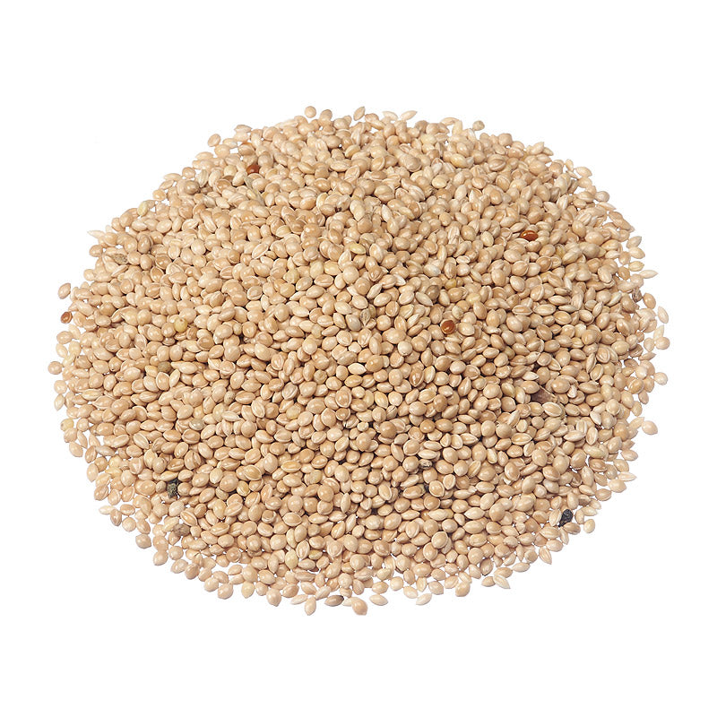 Graines de millet blanc pour oiseaux sauvages - 22.68 kg