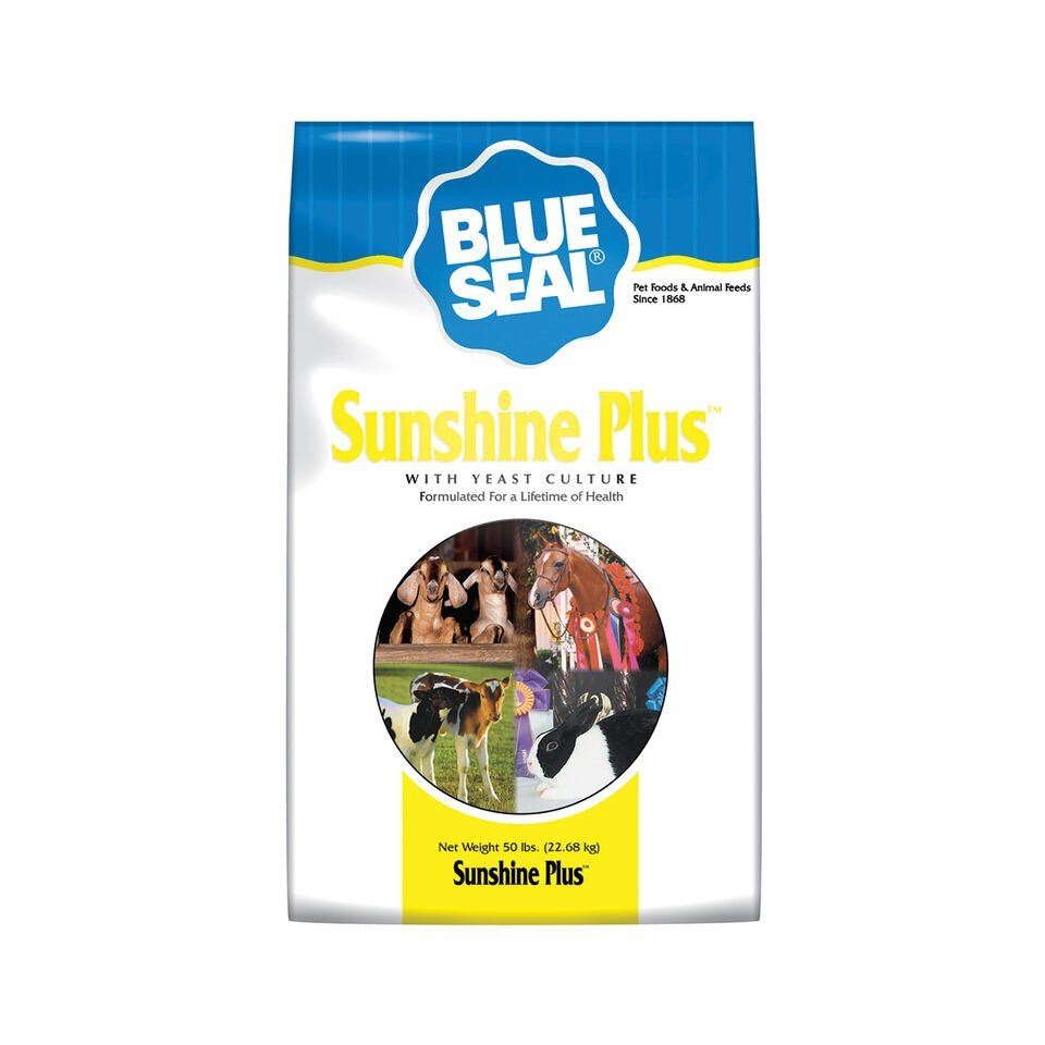 Sunshine Plus - Blue Seal
