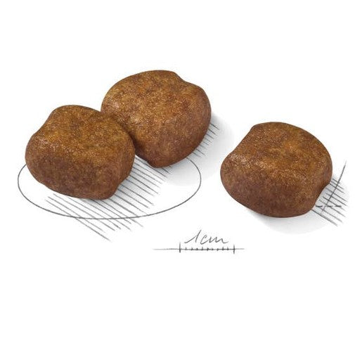 Croquettes grande race soin dentaire chien adulte - Royal Canin