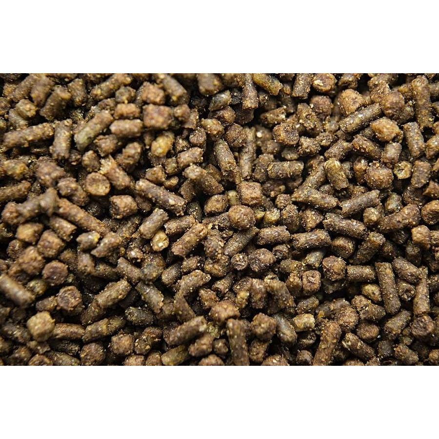 Buckeye Nutrition - CADENCE™ ULTRA 