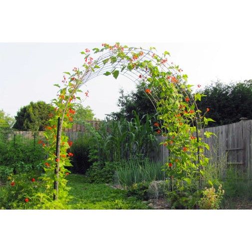 Galvanized Steel Garden Panel - Tree Island Steel