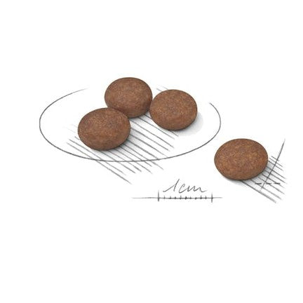 Croquettes petite race soin digestif chien adulte - Royal Canin