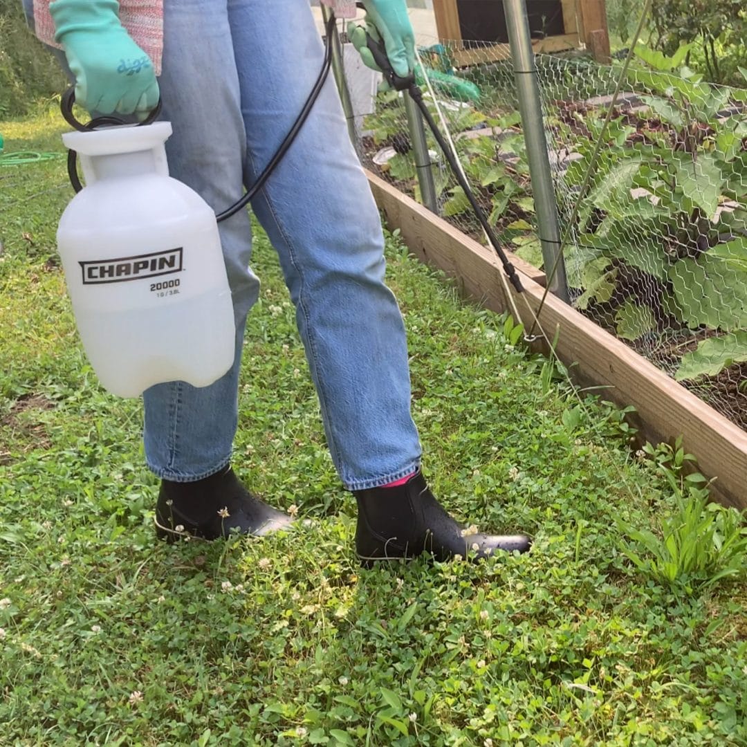 Pulvérisateur à main Chapin® 20000 de 1 gallon pour pelouse et jardin - Chapin®