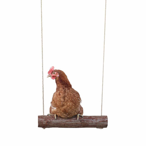 Chicken Swing