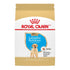 Croquettes chien Labrador chiot 2,5 lb - Royal Canin