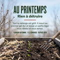 Plate-bande au printemps avec le paillis hivernal de TERRAIN AUTOMNE décomposé, sans travail de destruction nécessaire