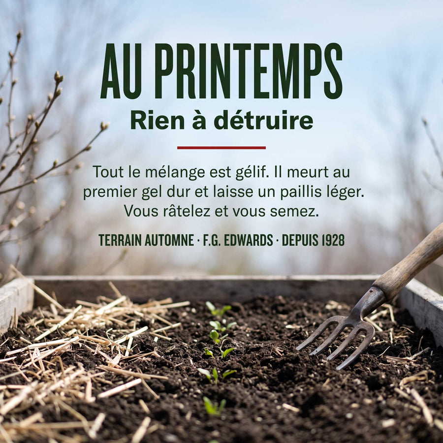 Plate-bande au printemps avec le paillis hivernal de TERRAIN AUTOMNE décomposé, sans travail de destruction nécessaire