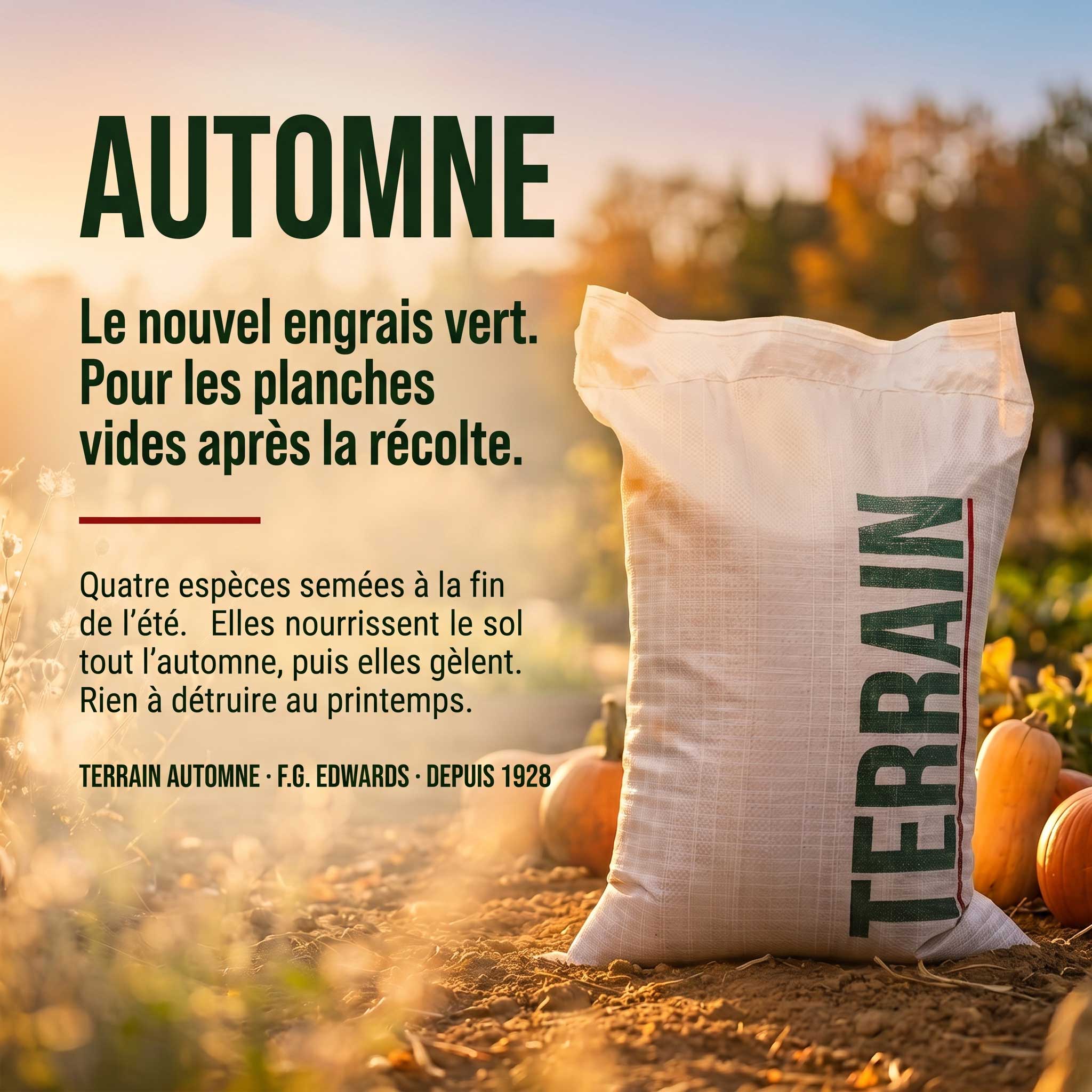 Sac d'engrais vert TERRAIN AUTOMNE avec texte explicatif : nouvel engrais vert pour les planches vides après la récolte