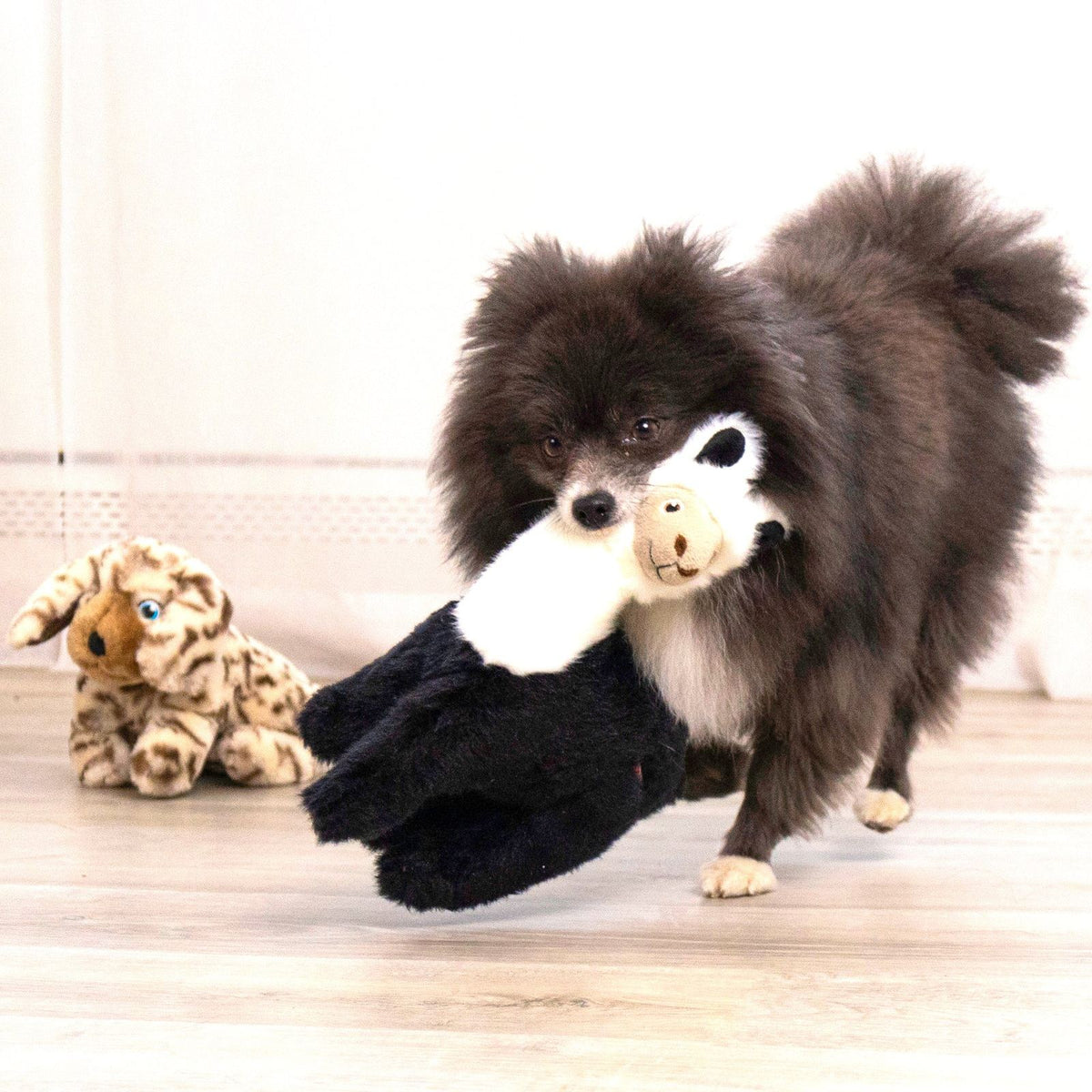 KONG Toughz Llama joeut pour chiens