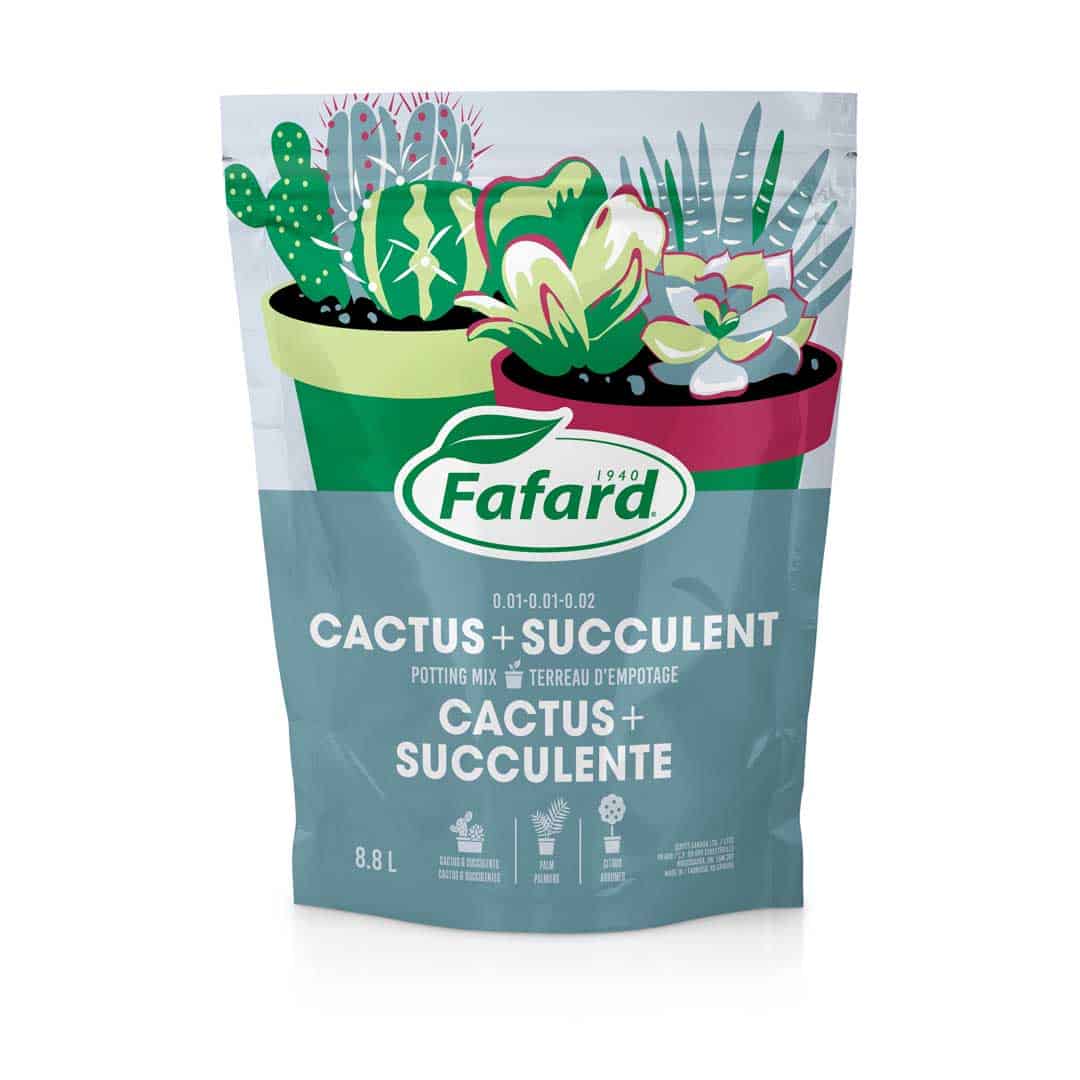 Terreau d'empotage cactus et succulentes 8,8 L - Fafard